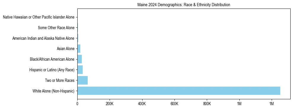 Race and Ethnicity Distribution Chart for Maine