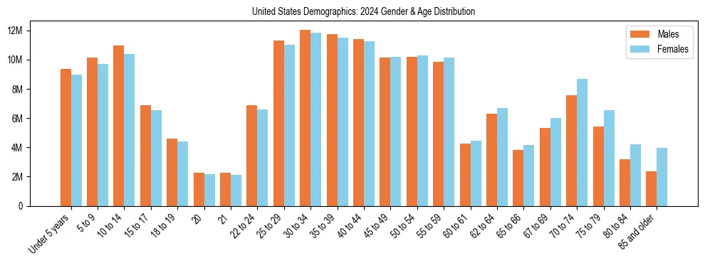 Bar chart showing the population distribution of the United States by age group and gender, based on 2024 ACS data.