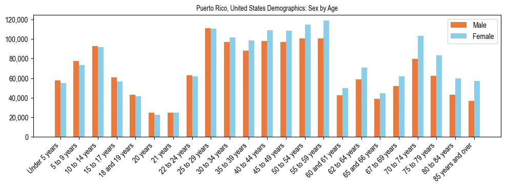 Demographics of Puerto Rico, United States: Sex by Age. The breakdown of the population of Puerto Rico, United States by sex by age is based on the United States Census Bureau's 2022 American Community Survey (ACS) 5-Year Estimates.