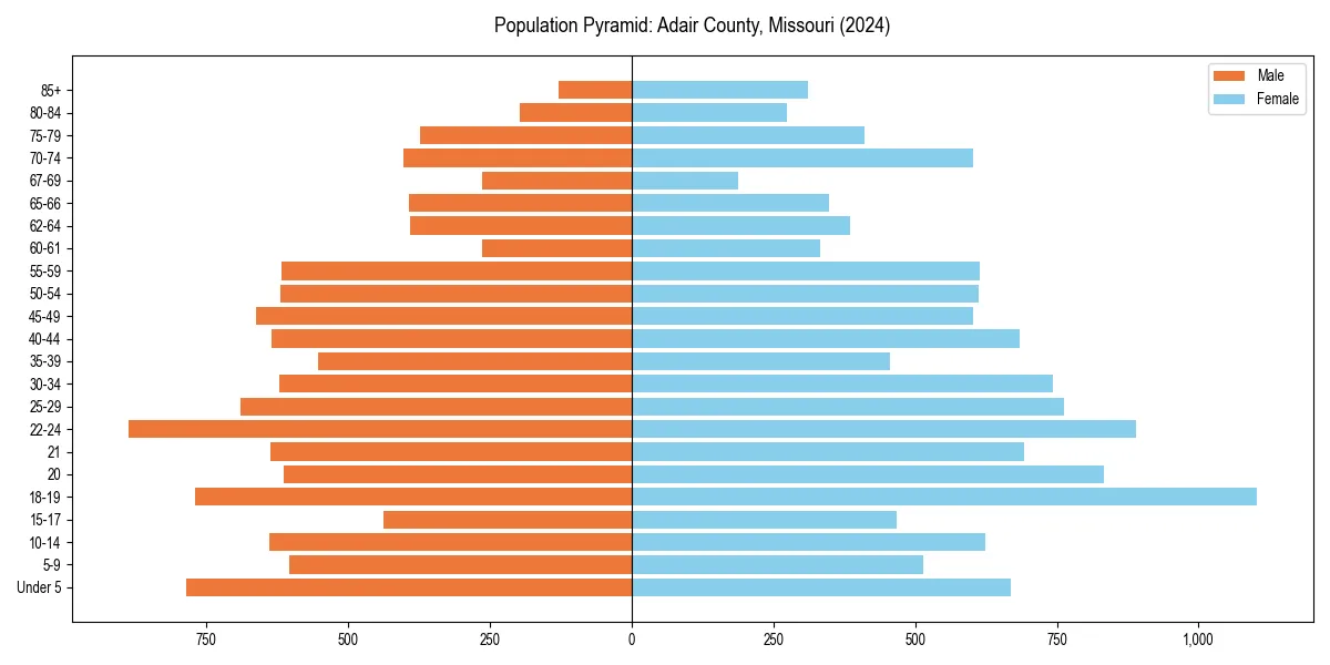 Population pyramid for 