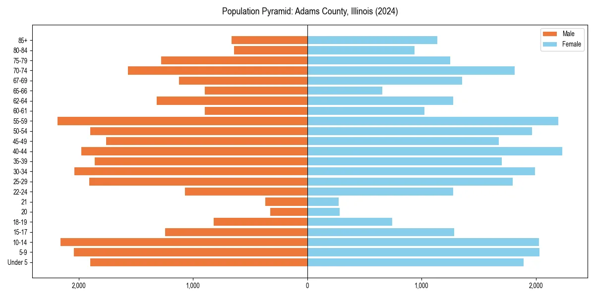 Population pyramid for 