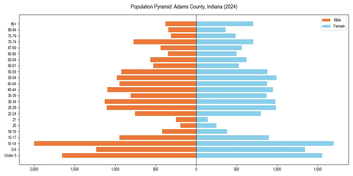 Population pyramid for 