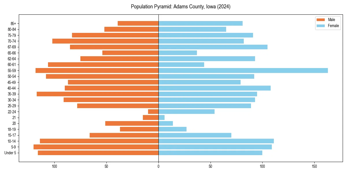 Population pyramid for 