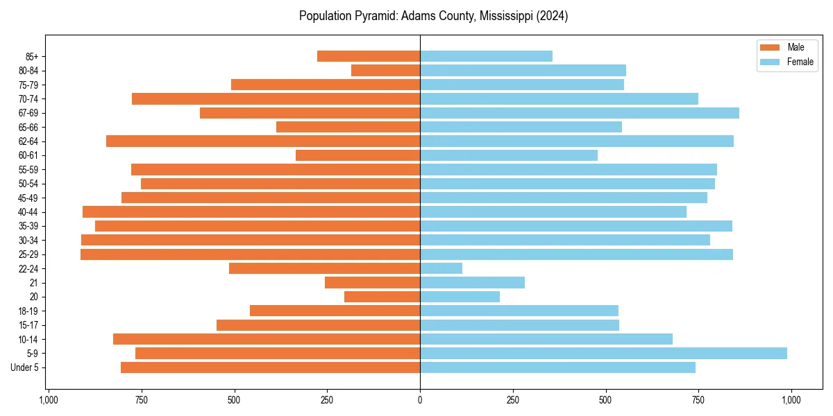 Population pyramid for 