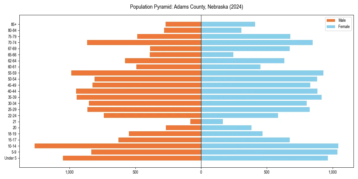 Population pyramid for 