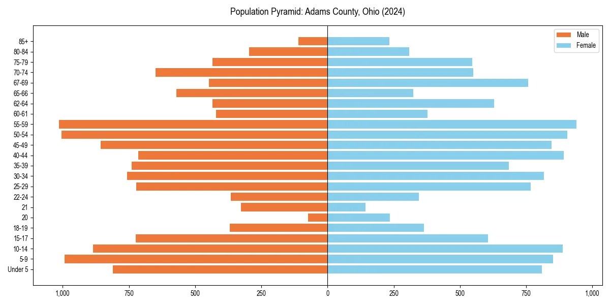 Population pyramid for 
