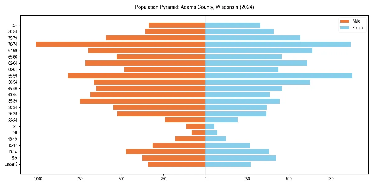 Population pyramid for 