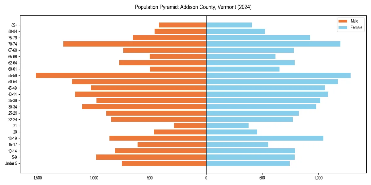 Population pyramid for 