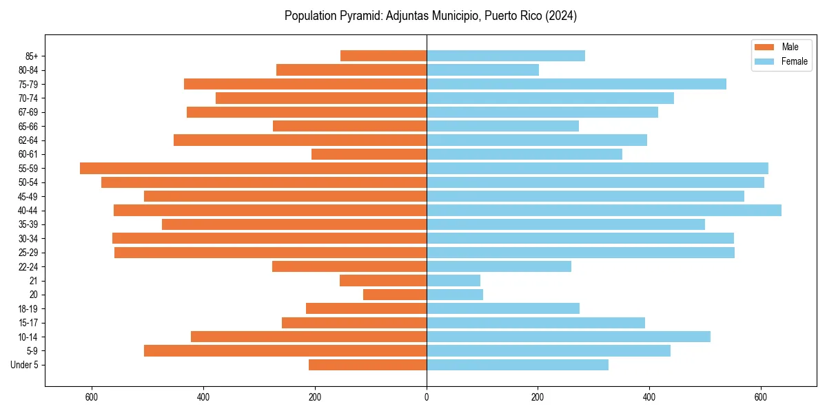 Population pyramid for 