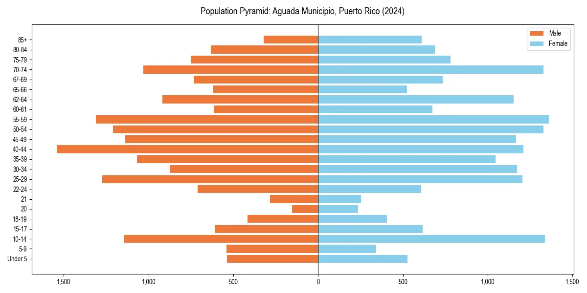Population pyramid for 