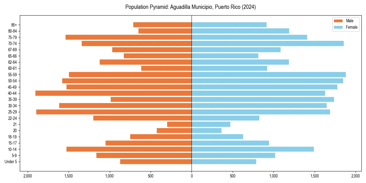Population pyramid for 