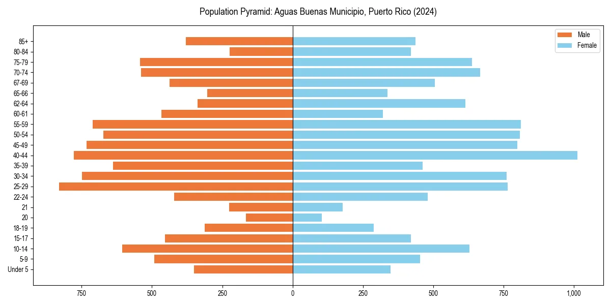 Population pyramid for 