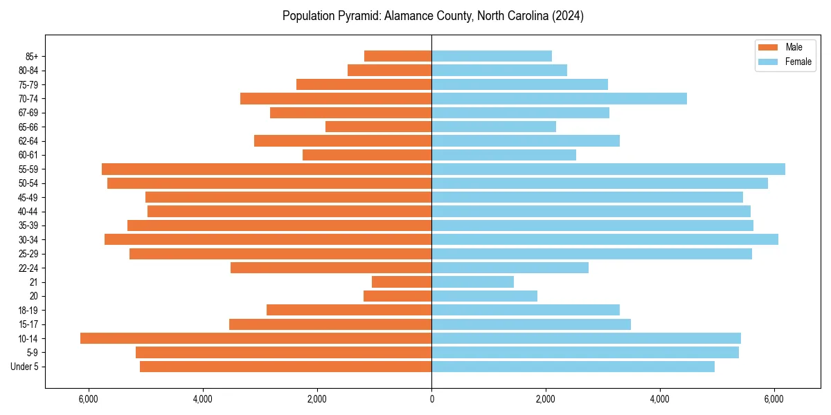 Population pyramid for 
