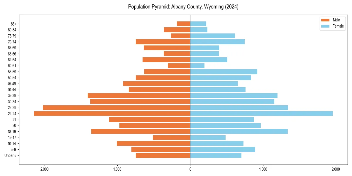 Population pyramid for 