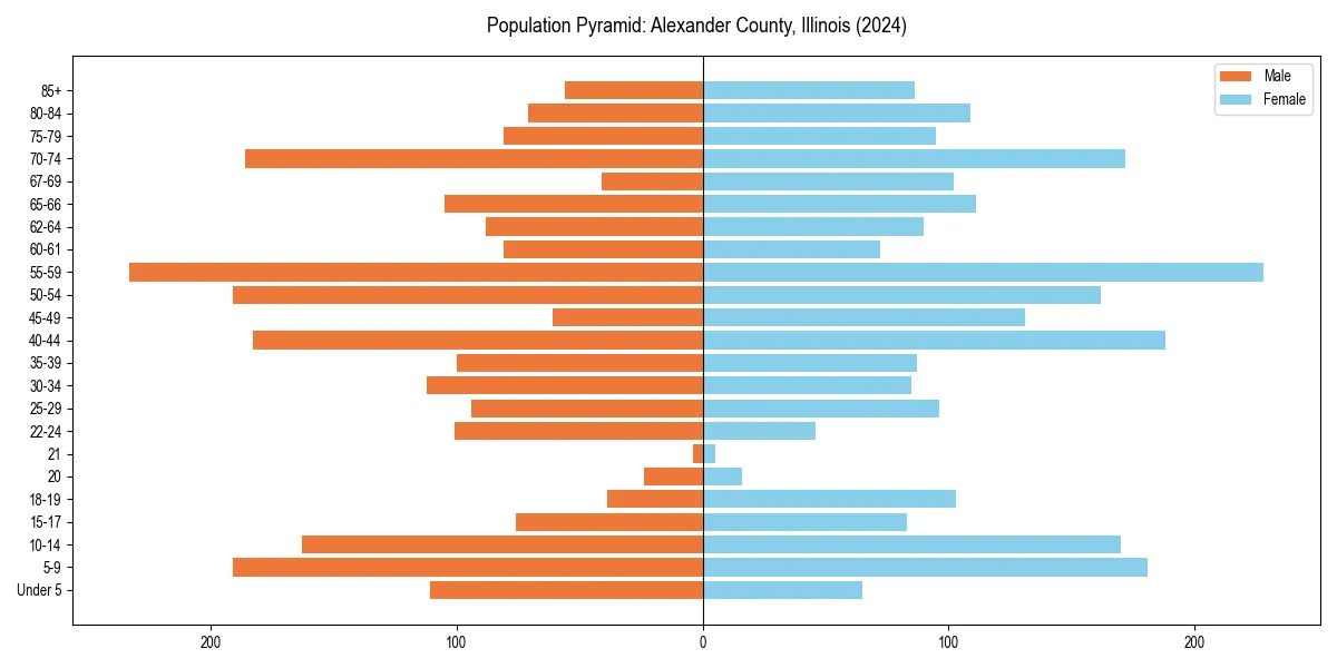 Population pyramid for 