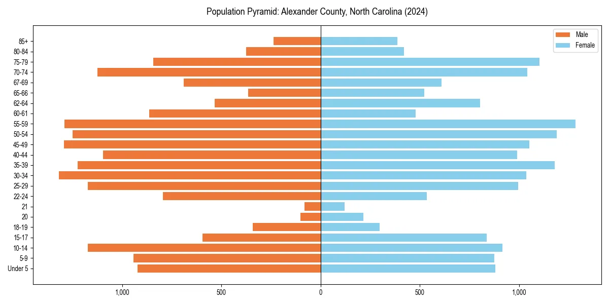 Population pyramid for 