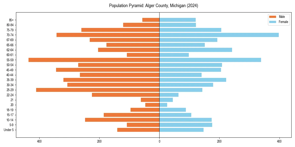 Population pyramid for 