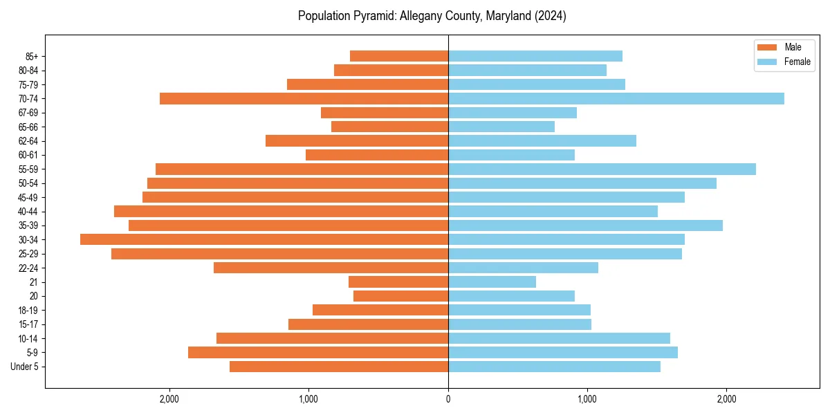 Population pyramid for 