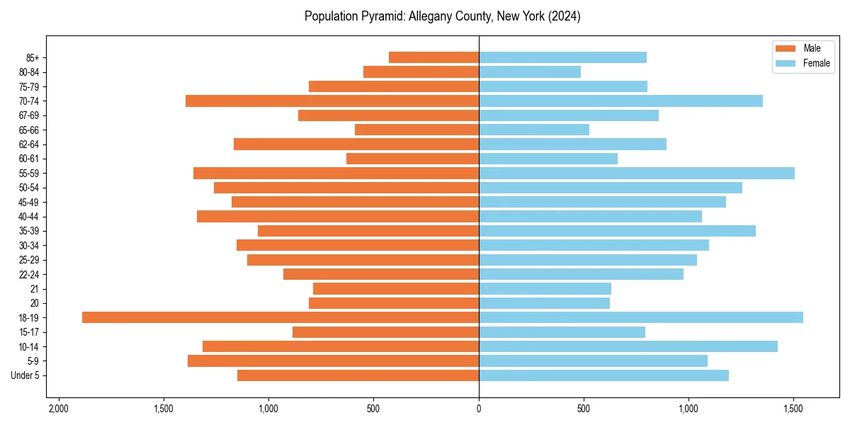 Population pyramid for 