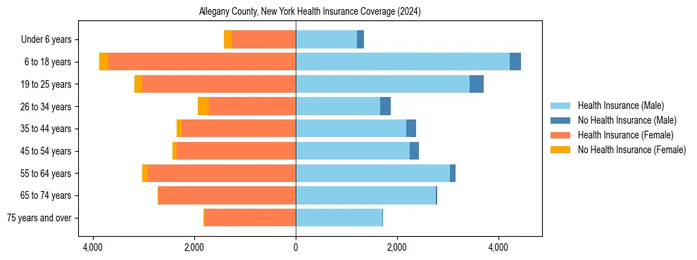 Health insurance pyramid for Allegany County, New York