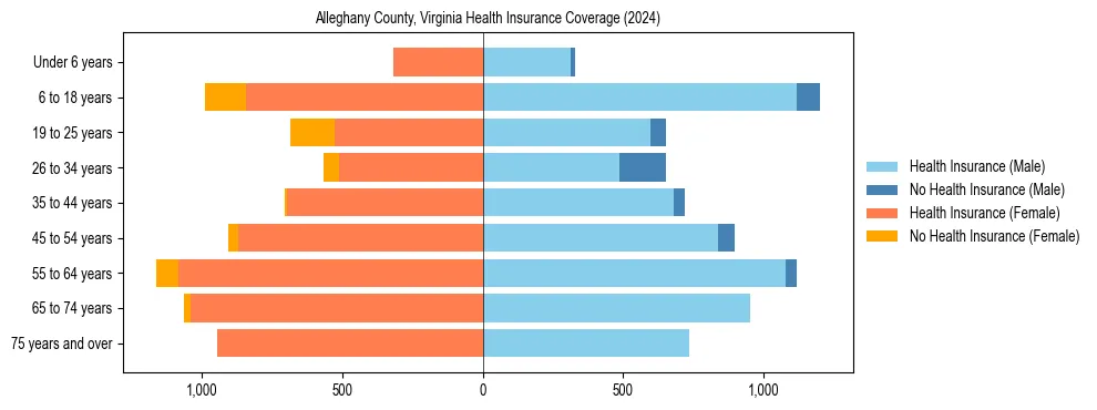 Health insurance pyramid for Alleghany County, Virginia