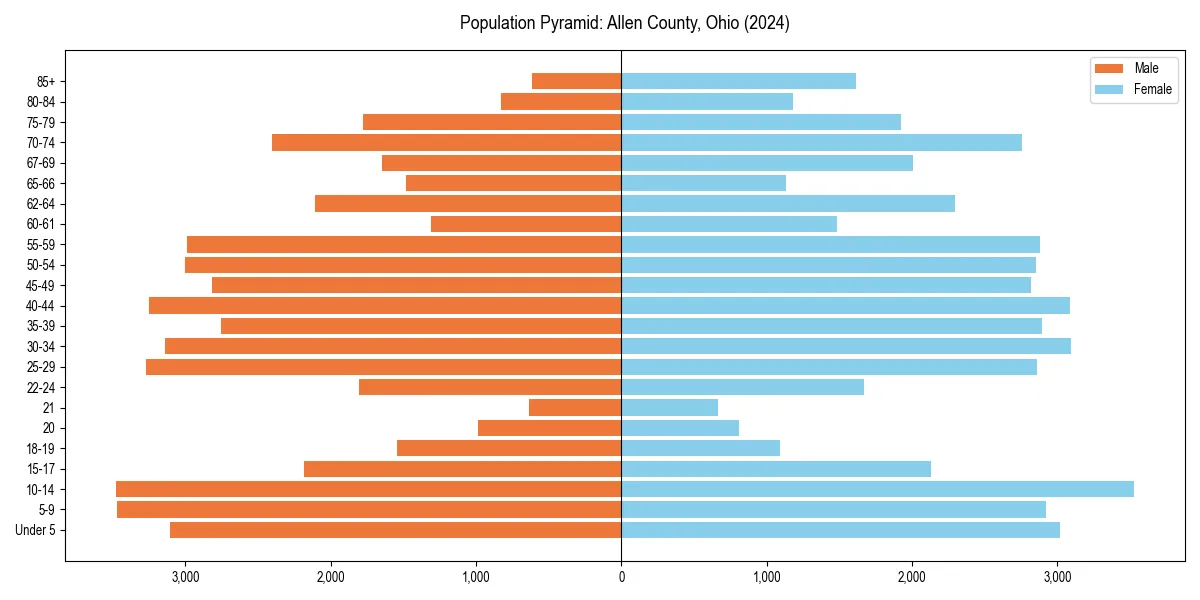 Population pyramid for 