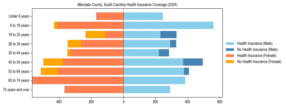 Health insurance pyramid for Allendale County, South Carolina