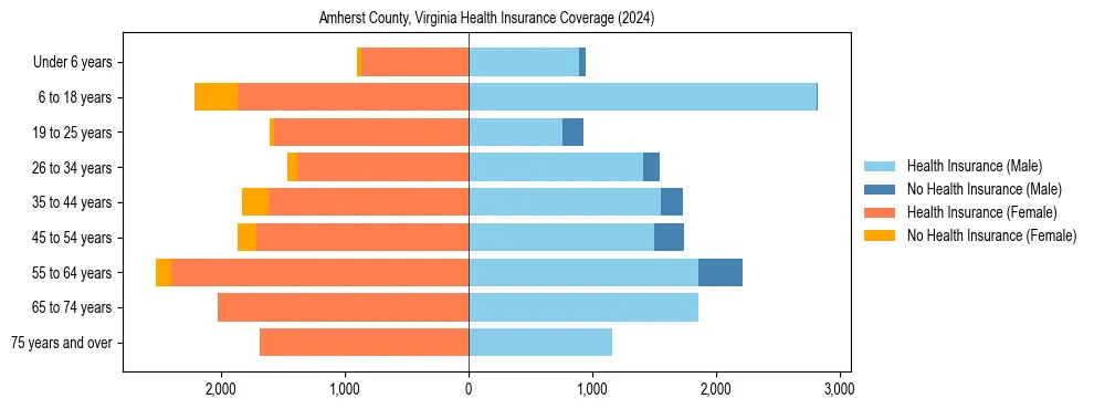 Health insurance pyramid for Amherst County, Virginia