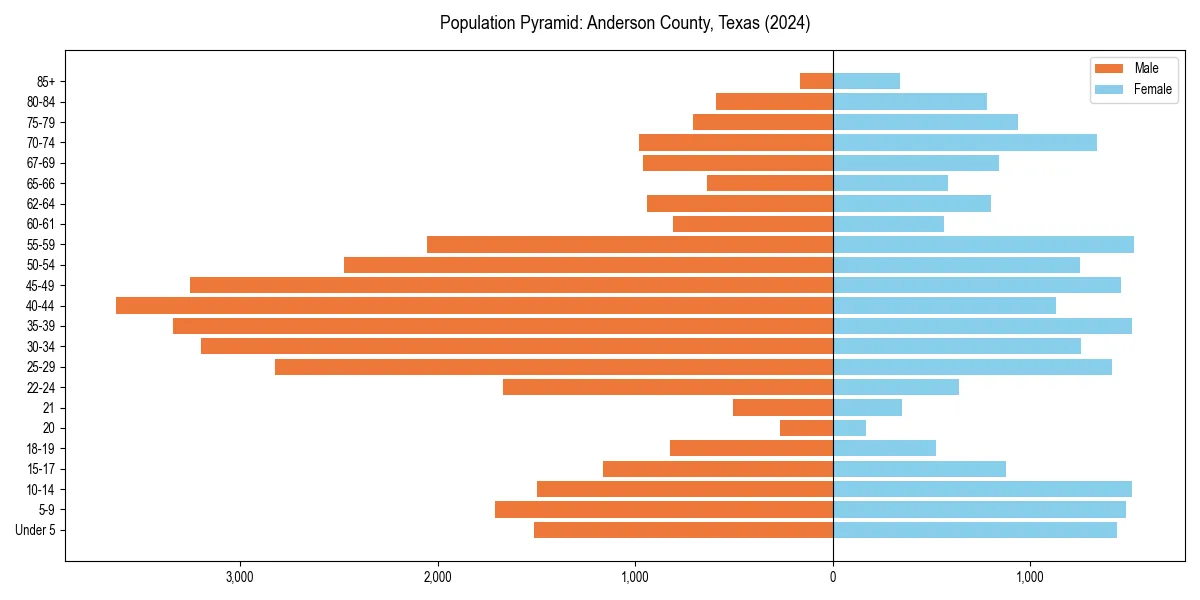 Population pyramid for 