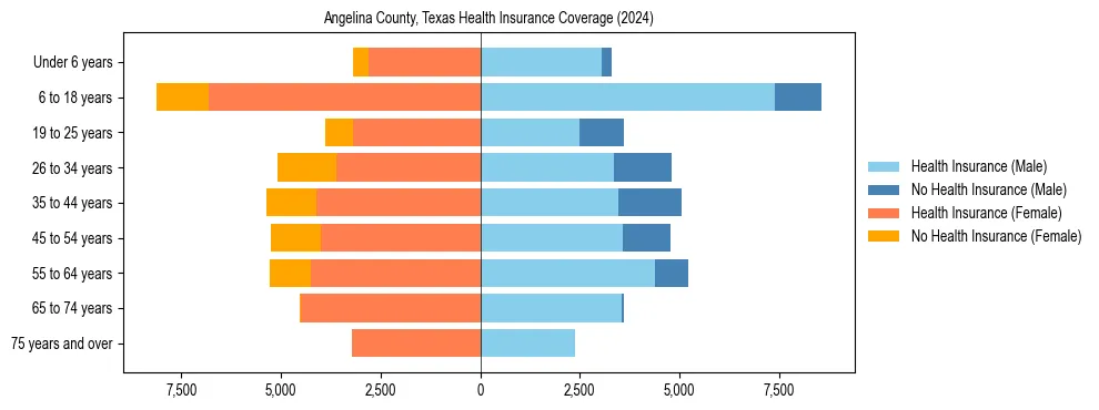 Health insurance pyramid for Angelina County, Texas