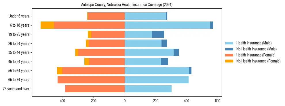 Health insurance pyramid for Antelope County, Nebraska