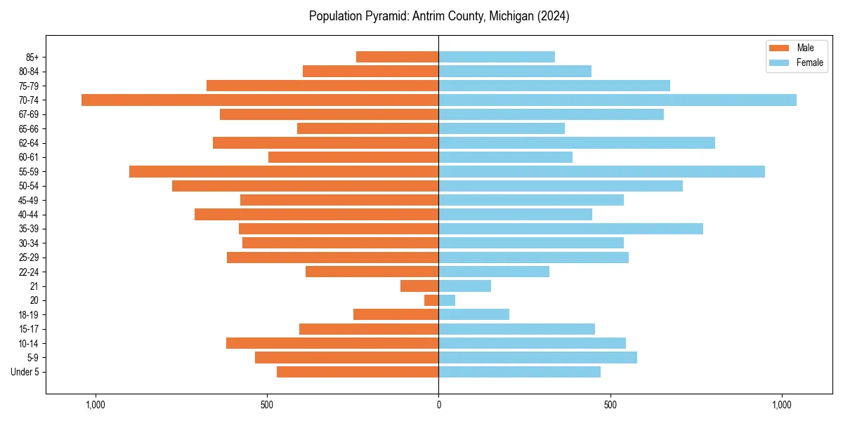Population pyramid for 