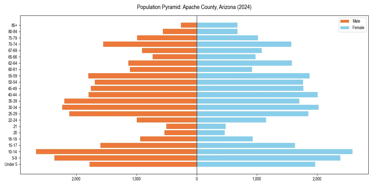 Population pyramid for 