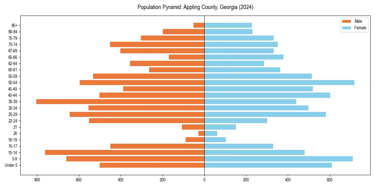 Population pyramid for 