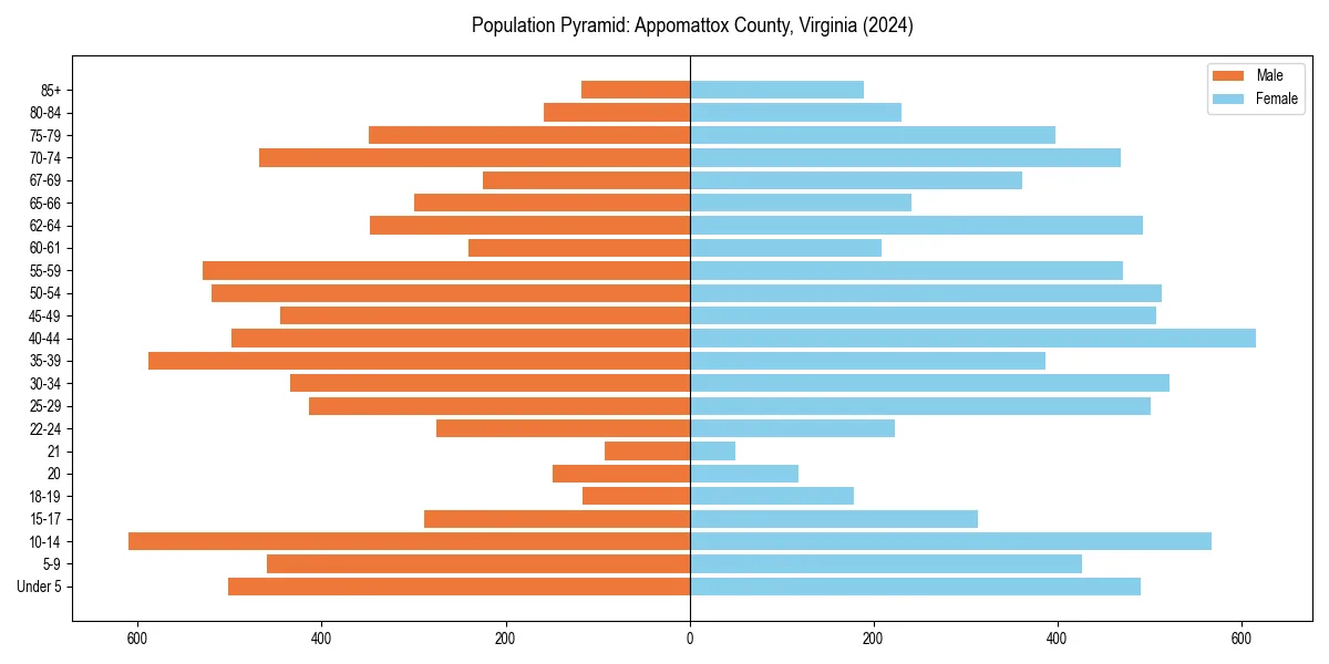 Population pyramid for 