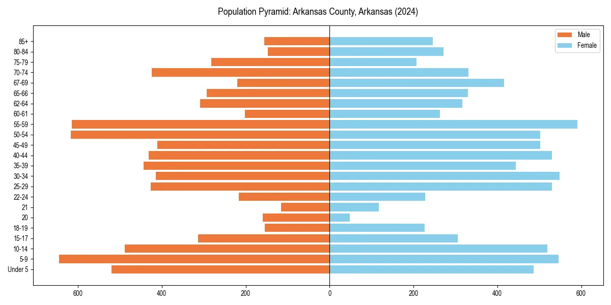 Population pyramid for 