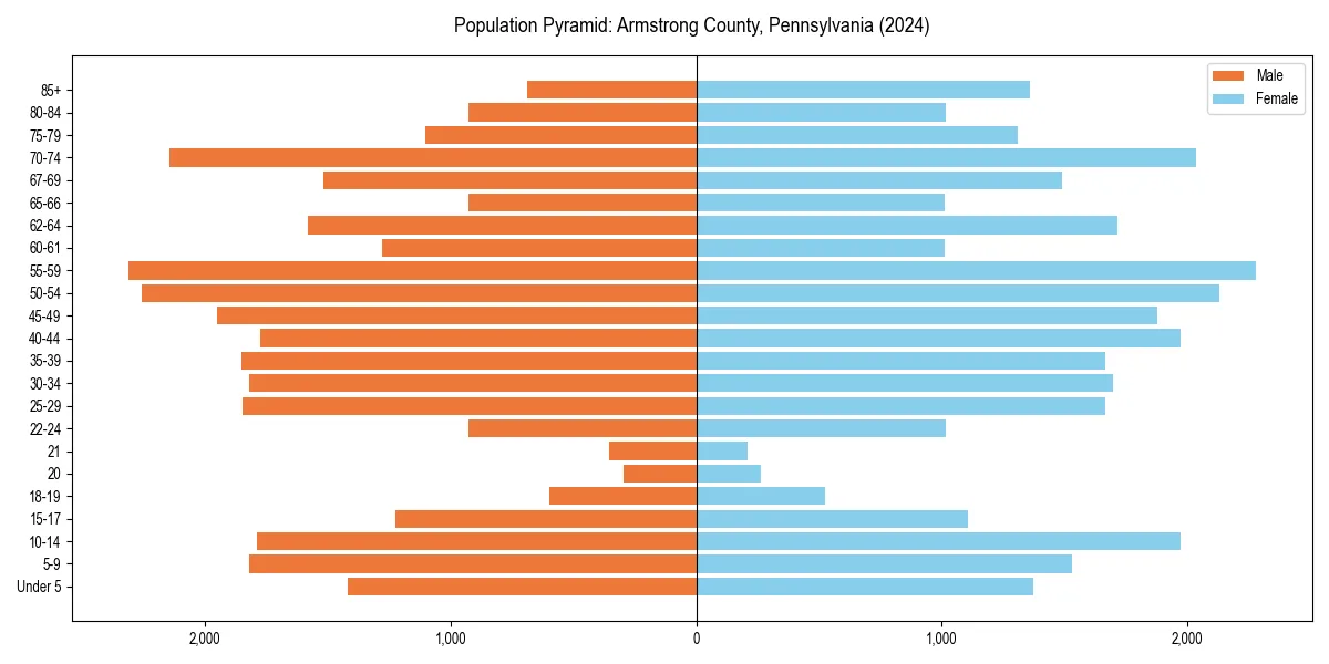 Population pyramid for 