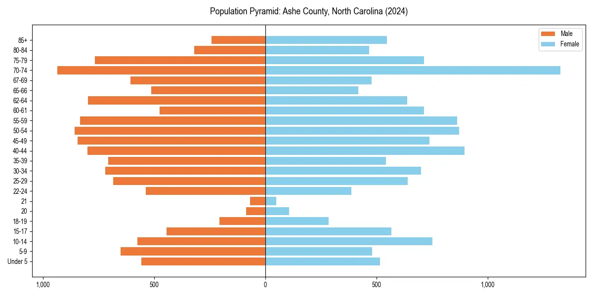 Population pyramid for 