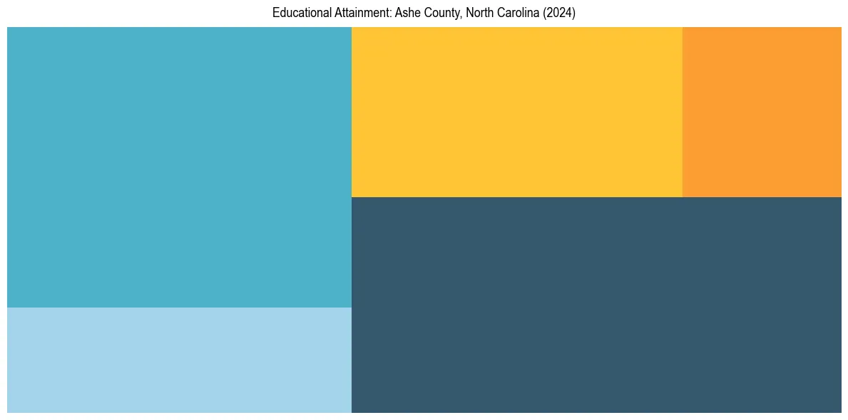 Education Treemap for  in 2024
