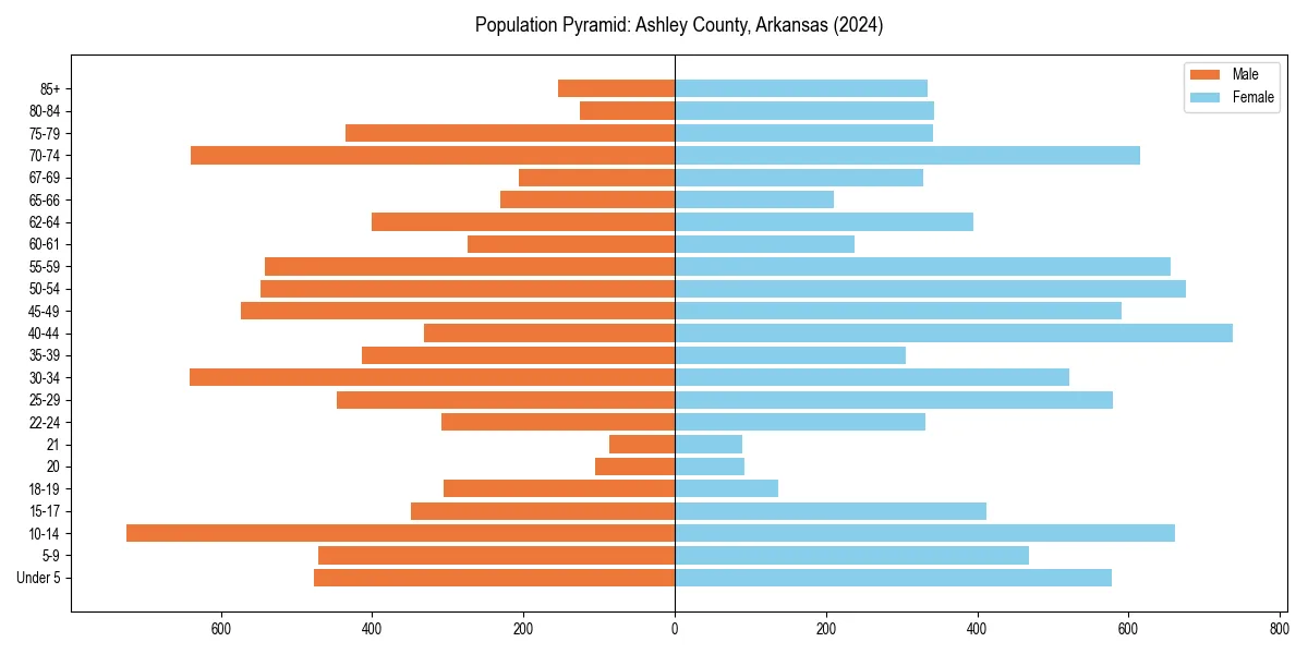 Population pyramid for 