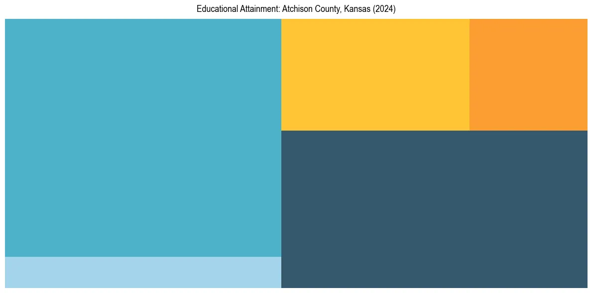 Education Treemap for  in 2024
