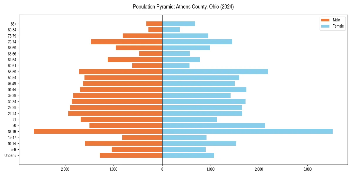 Population pyramid for 