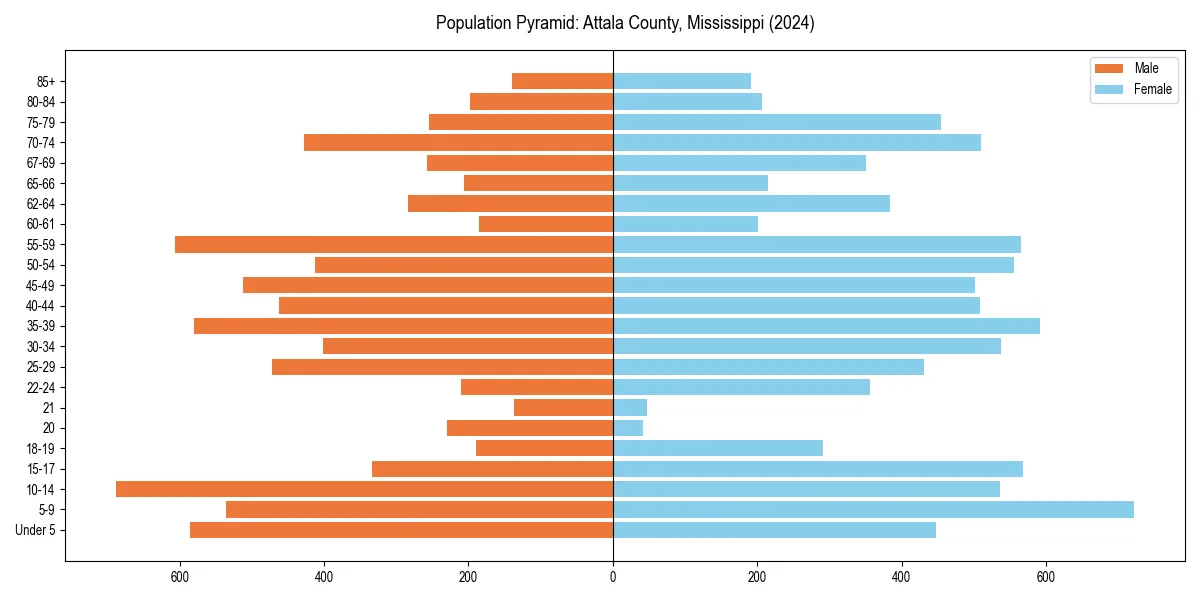 Population pyramid for 