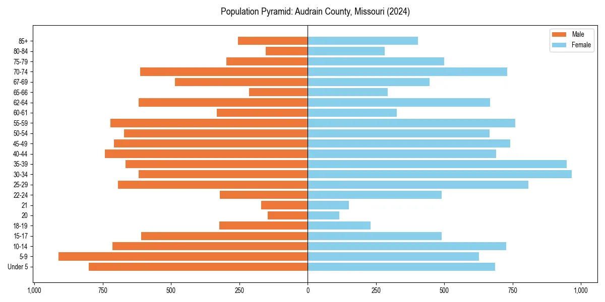Population pyramid for 