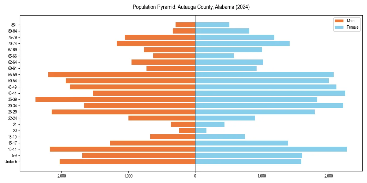 Population pyramid for 