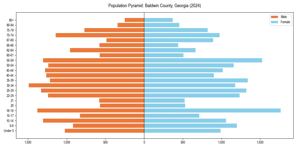 Population pyramid for 