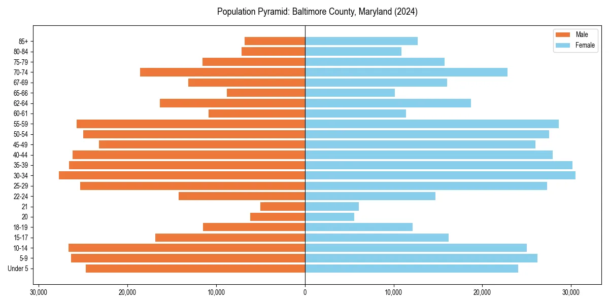 Population pyramid for 