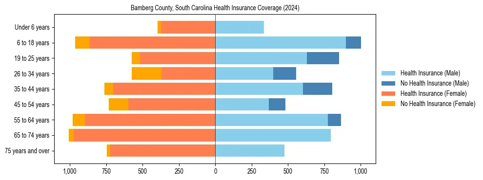 Health insurance pyramid for Bamberg County, South Carolina