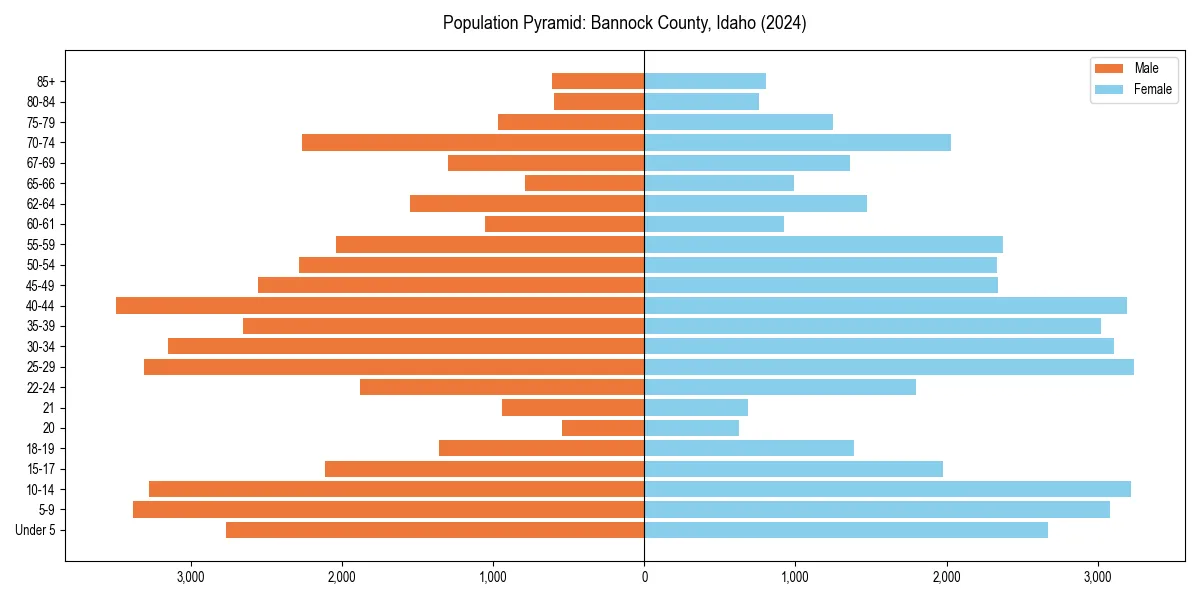 Population pyramid for 