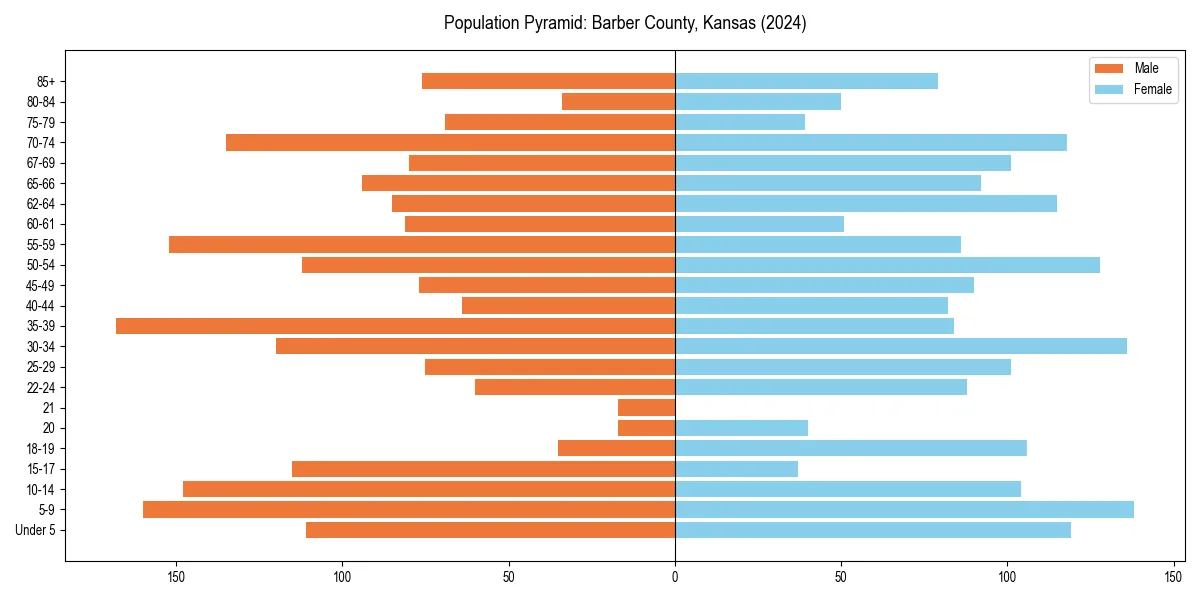 Population pyramid for 